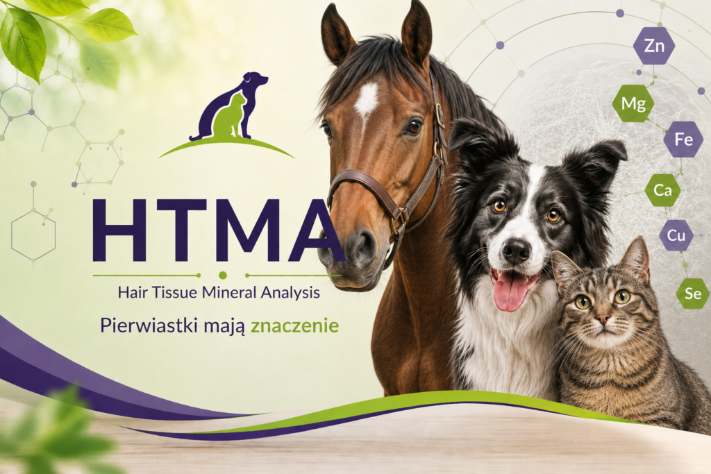 Hair mineral analysis in animals – complete guide